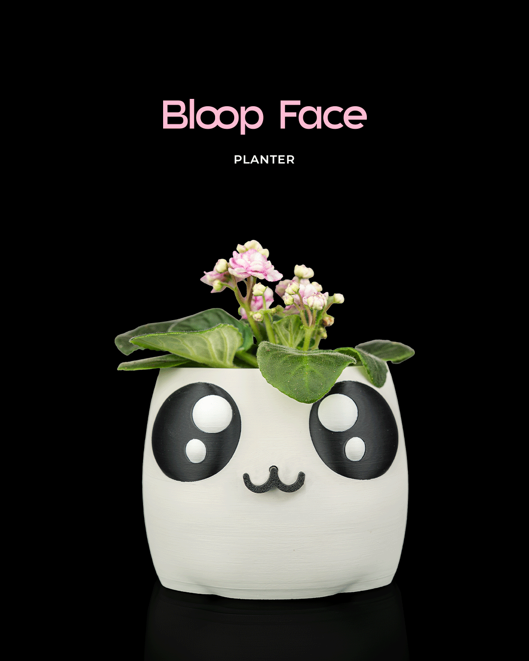 Bloop Face - Planter