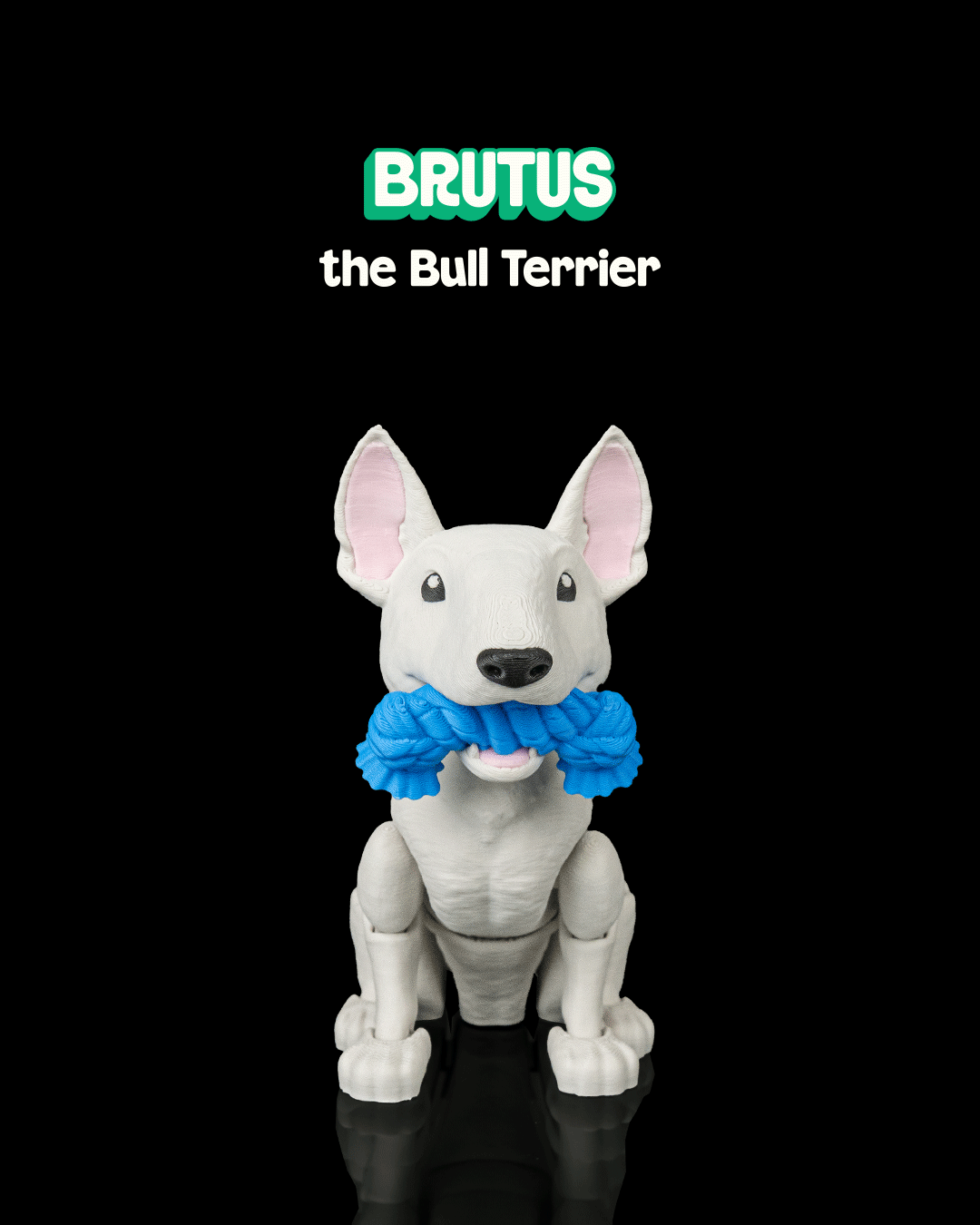 Brutus, the Bull Terrier