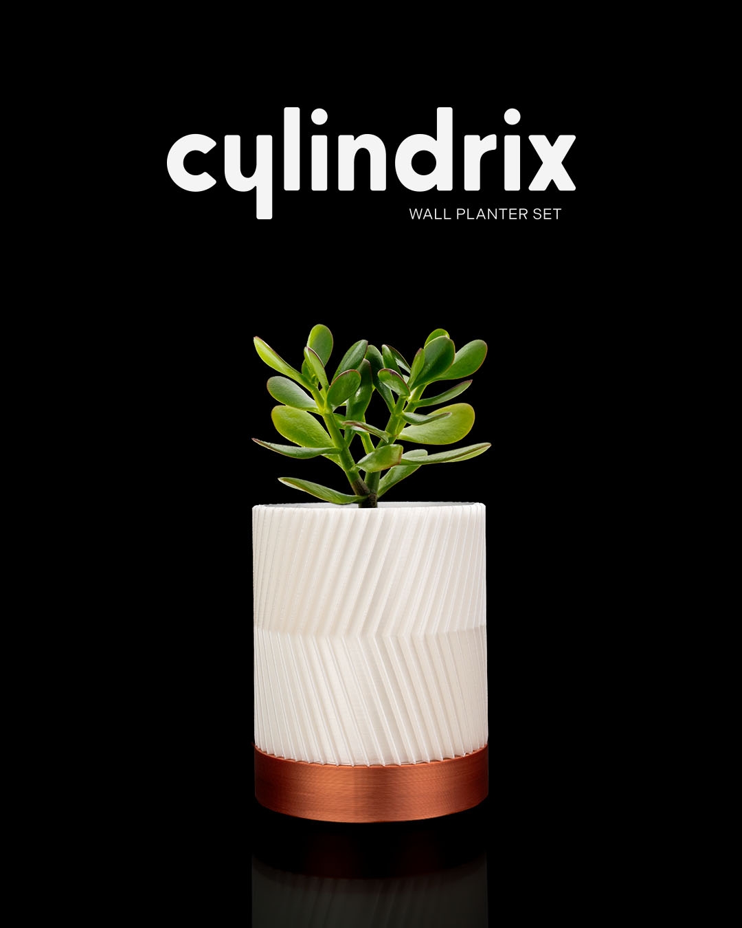 CYLINDRIX Wall Planter Set