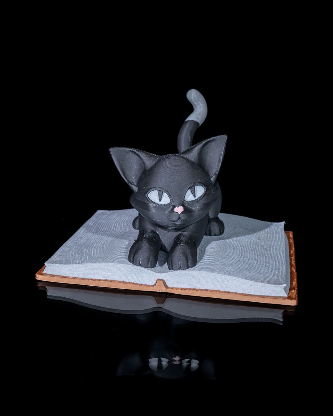 Cattus Librum