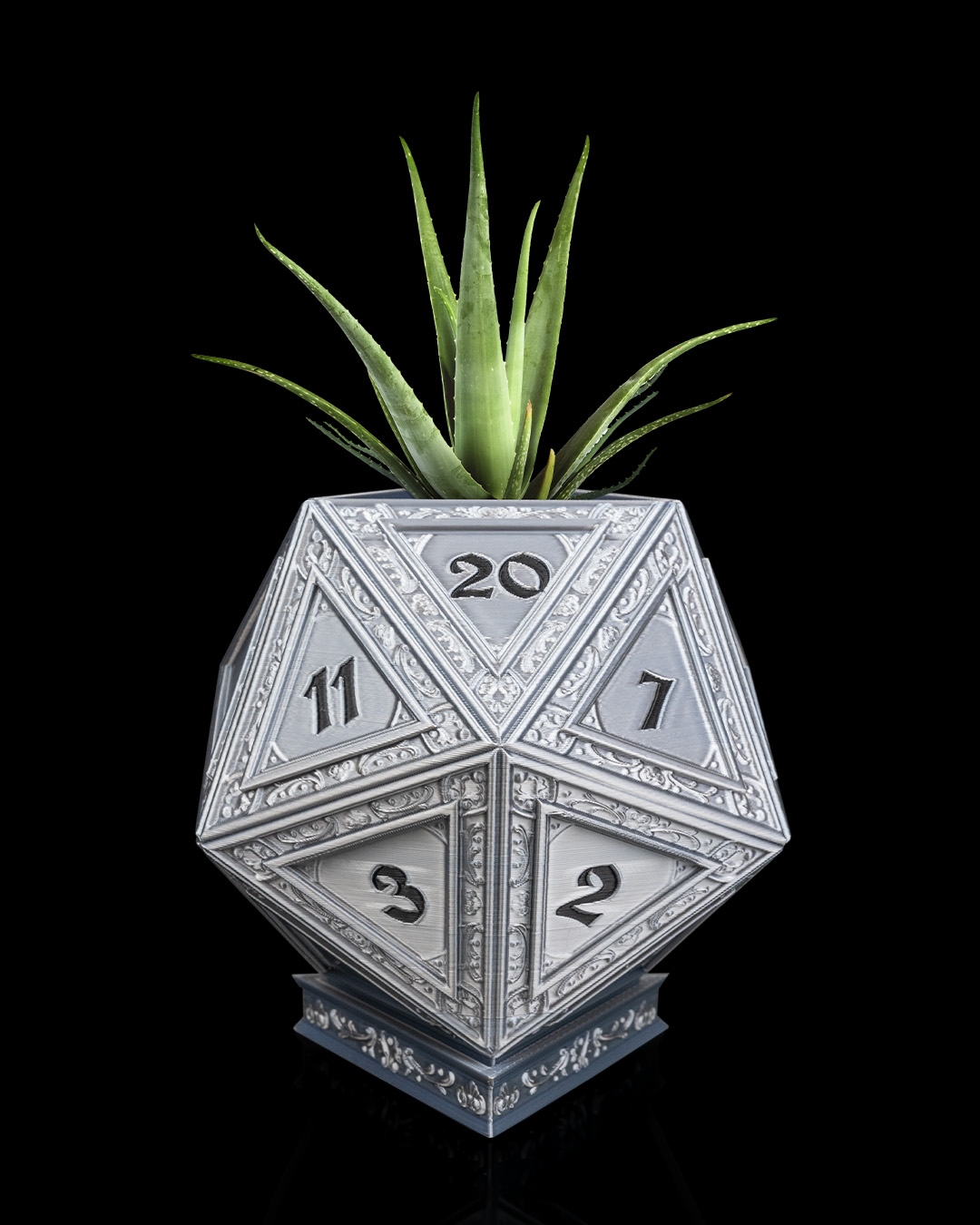 Champion's D20