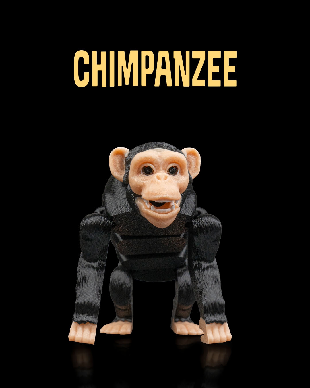 Chimpanzee