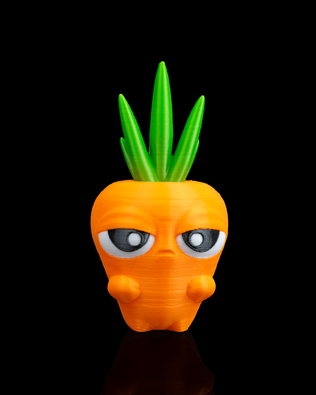 Cora the Carrot