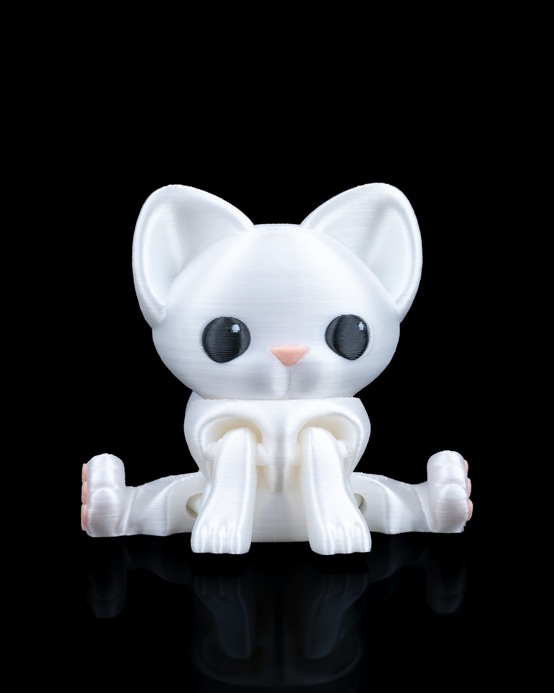 Curious Cat