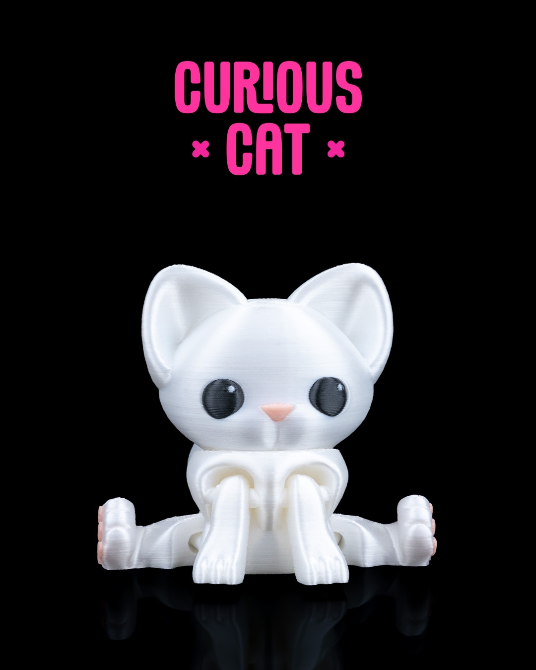 Curious Cat Boekenhouder