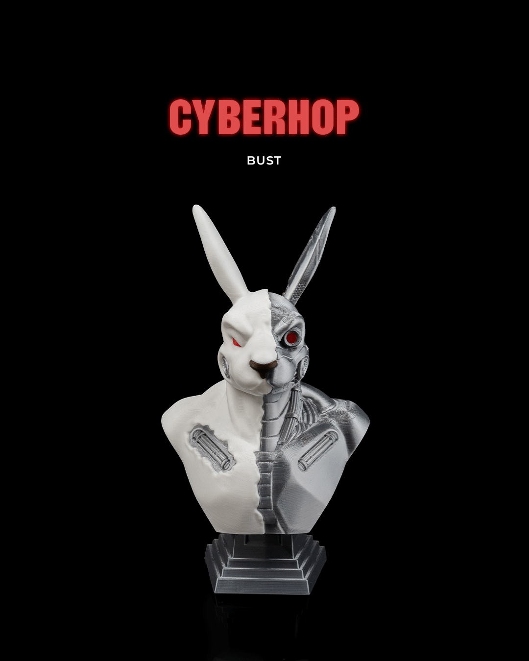 Cyberhop Bust