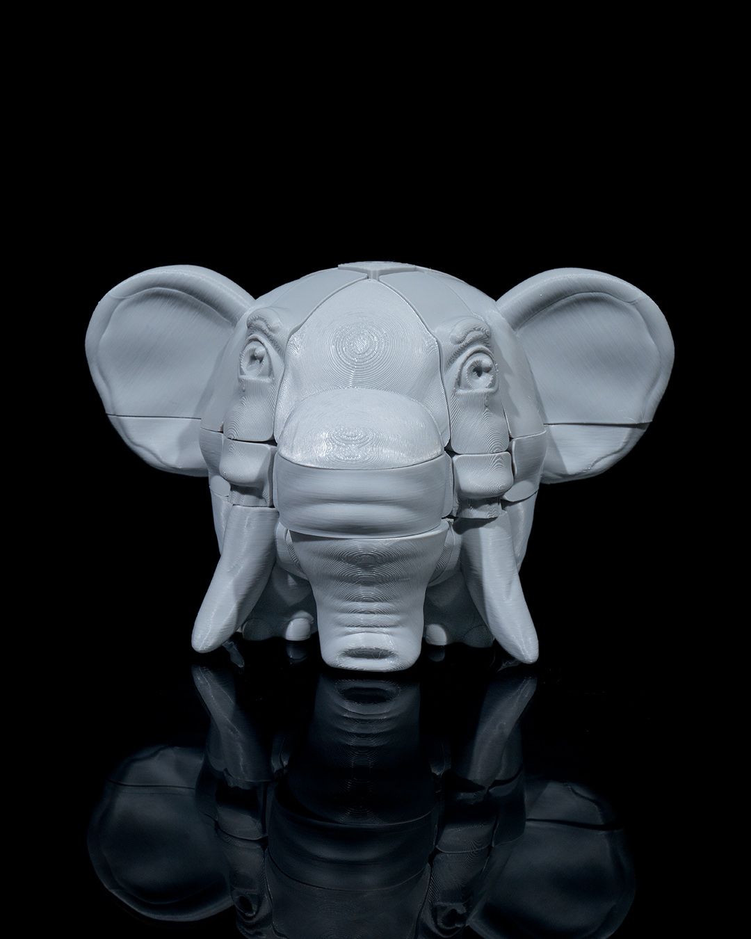 Elephant’s Memory