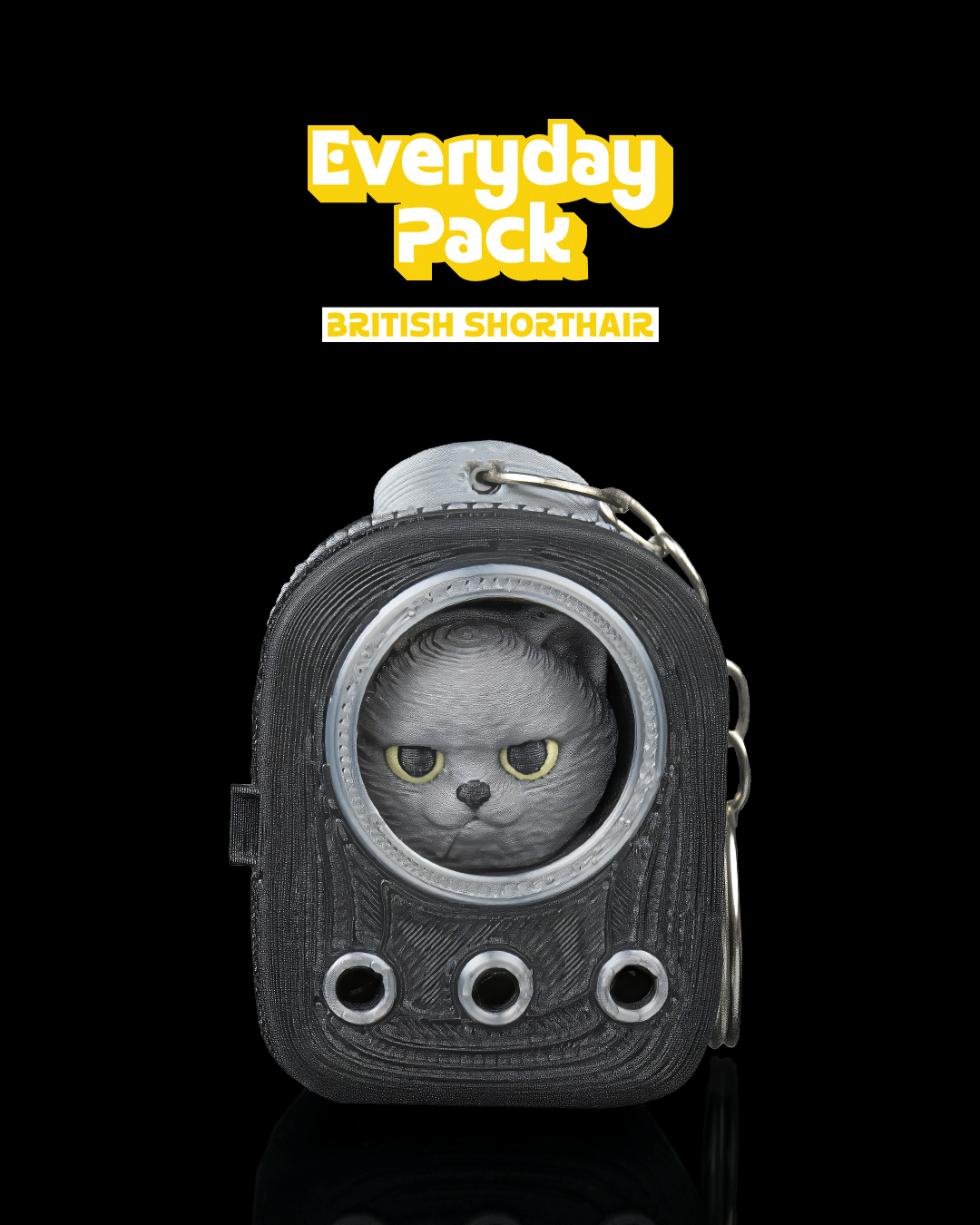 Everyday Pack - British Shorthair