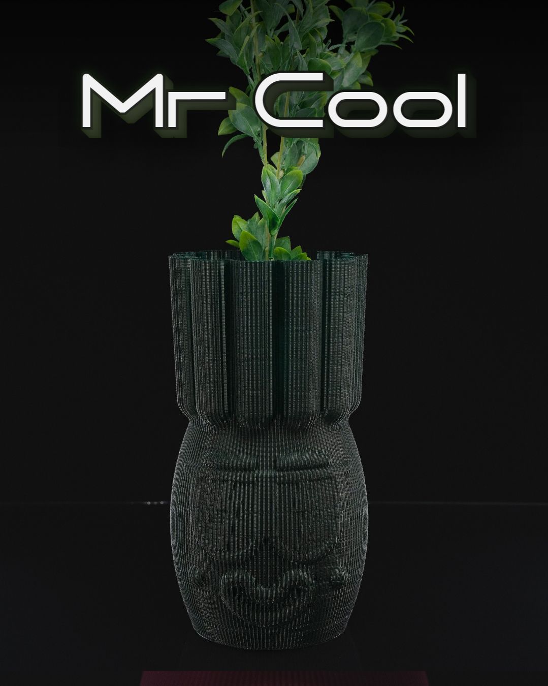 Mr Cool
