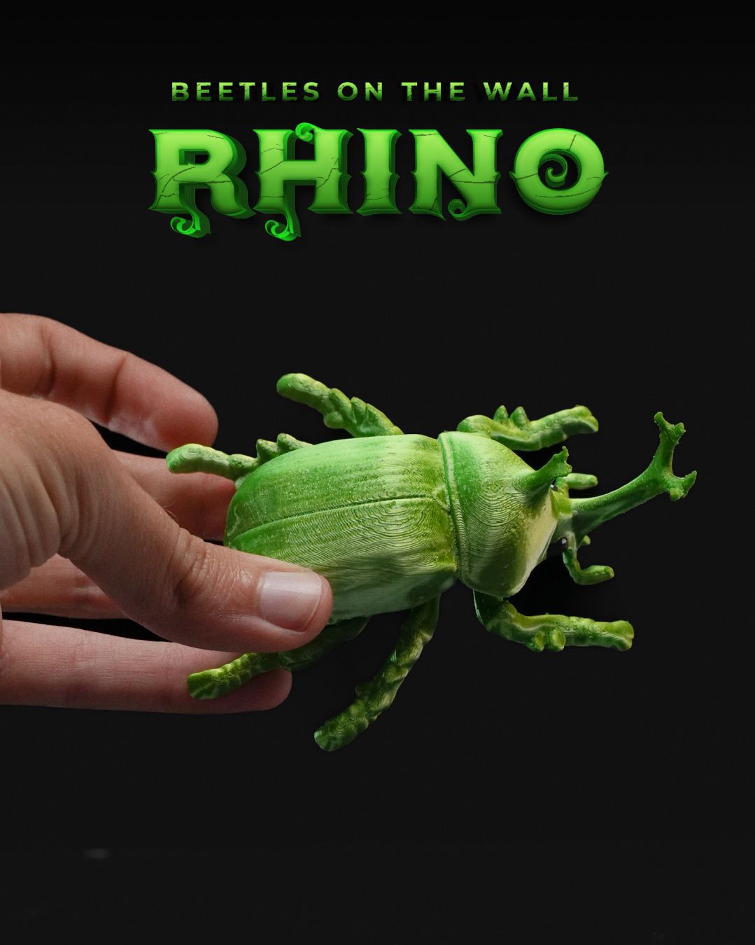Beetles on the Wall — Rhino