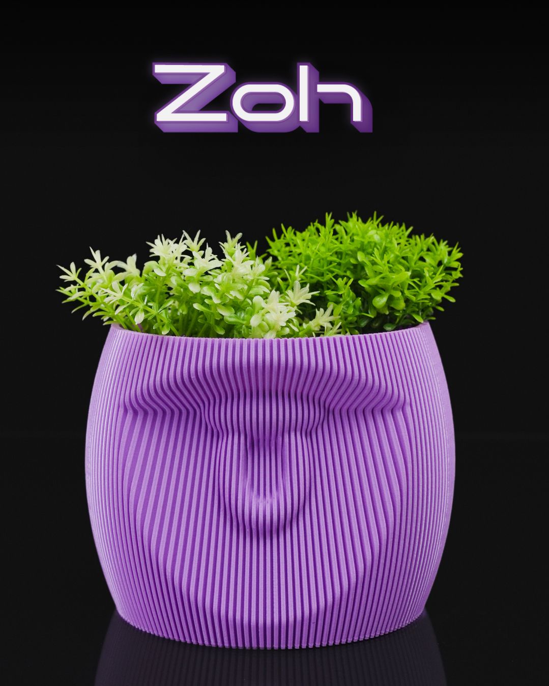Zoh