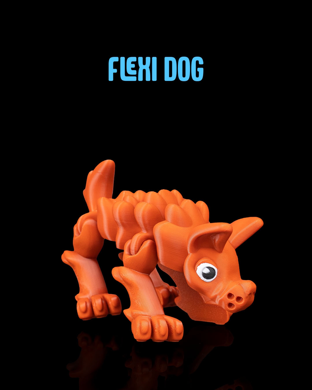 Flexi Dog