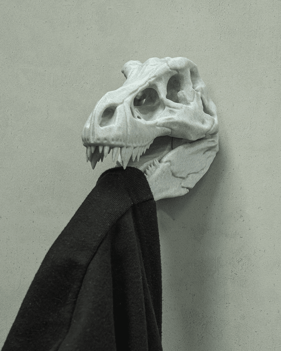 Hold my CoaT-Rex