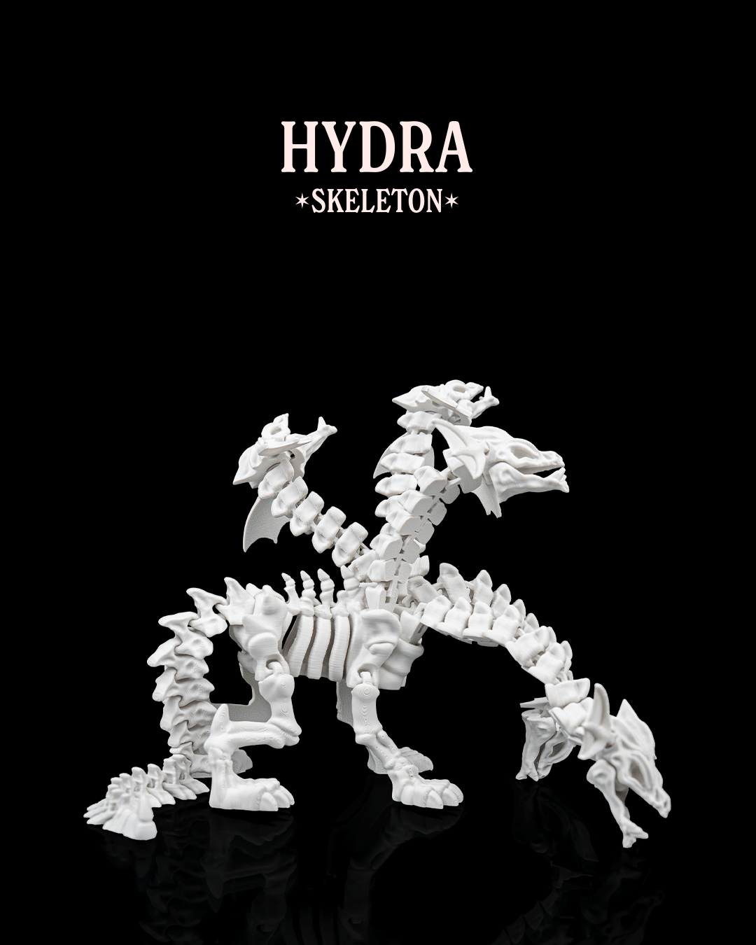Hydra Skeleton