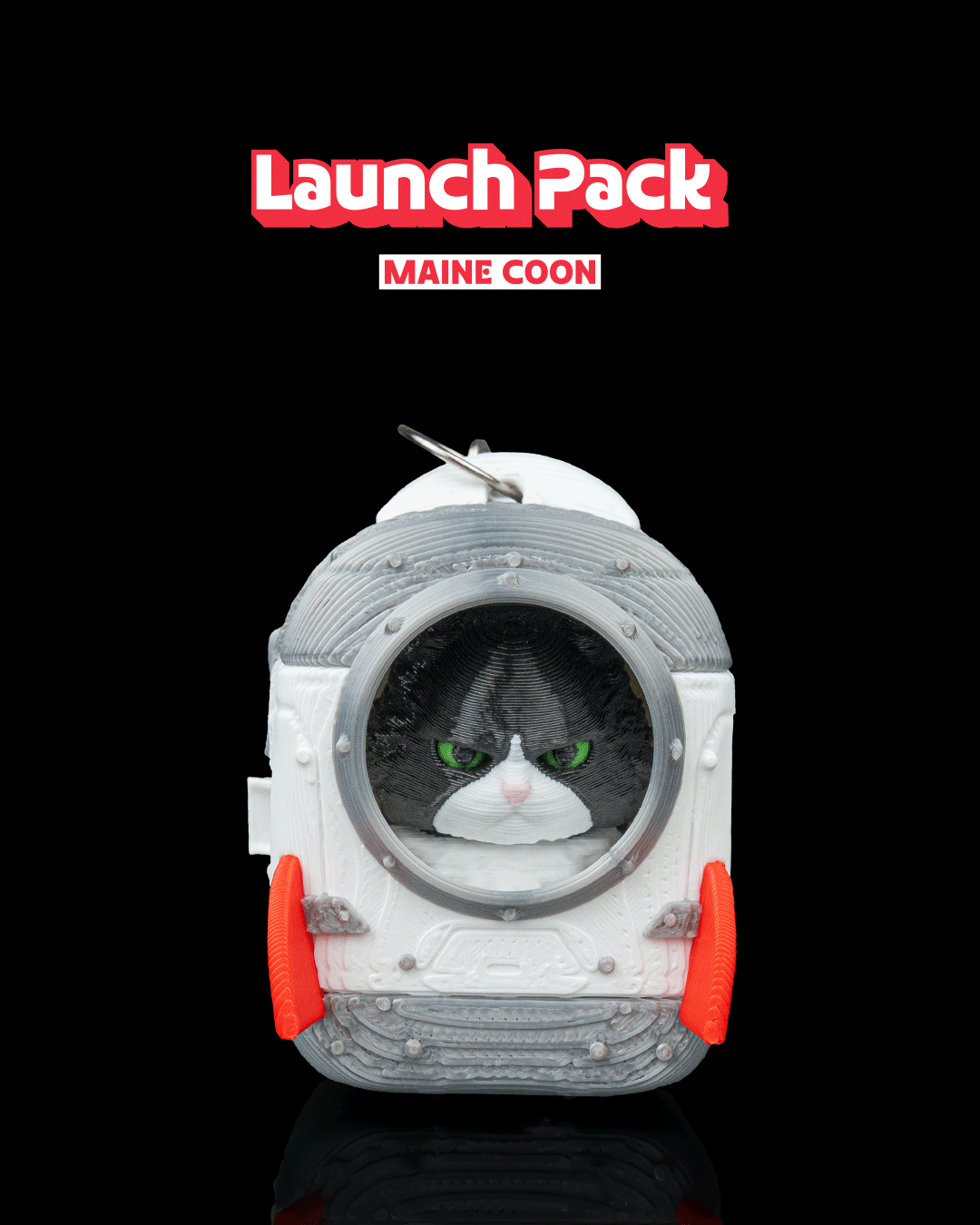 Launch Pack - Maine Coon