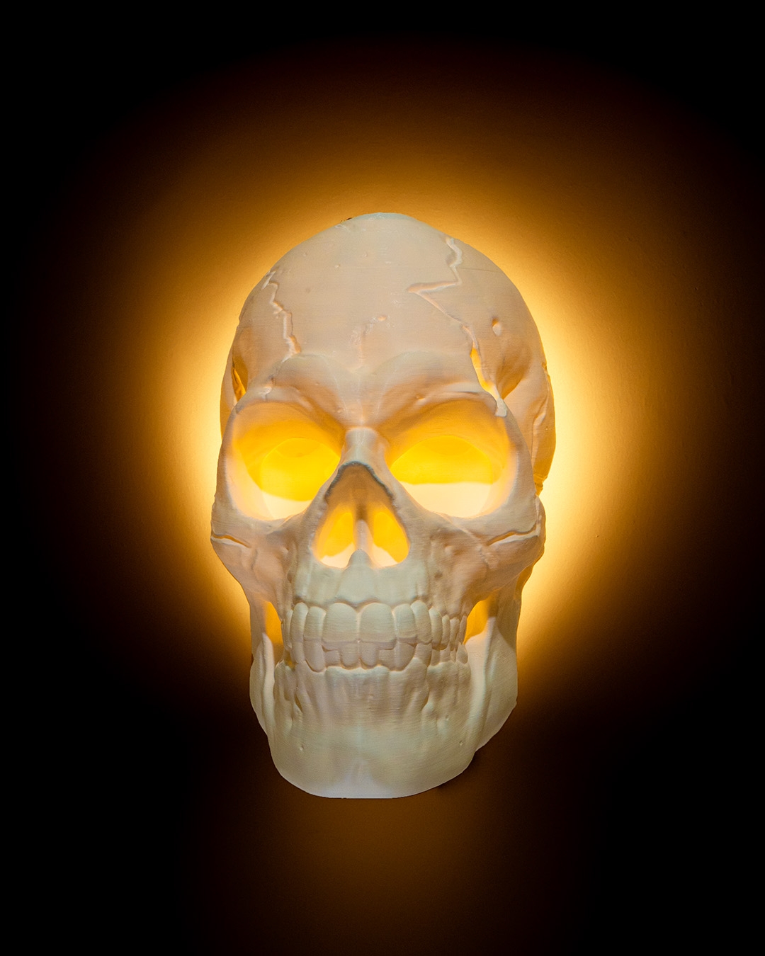 Light Headed Wall Light