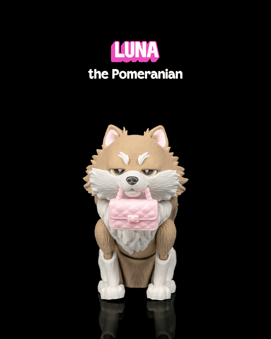 Luna, the Pomeranian
