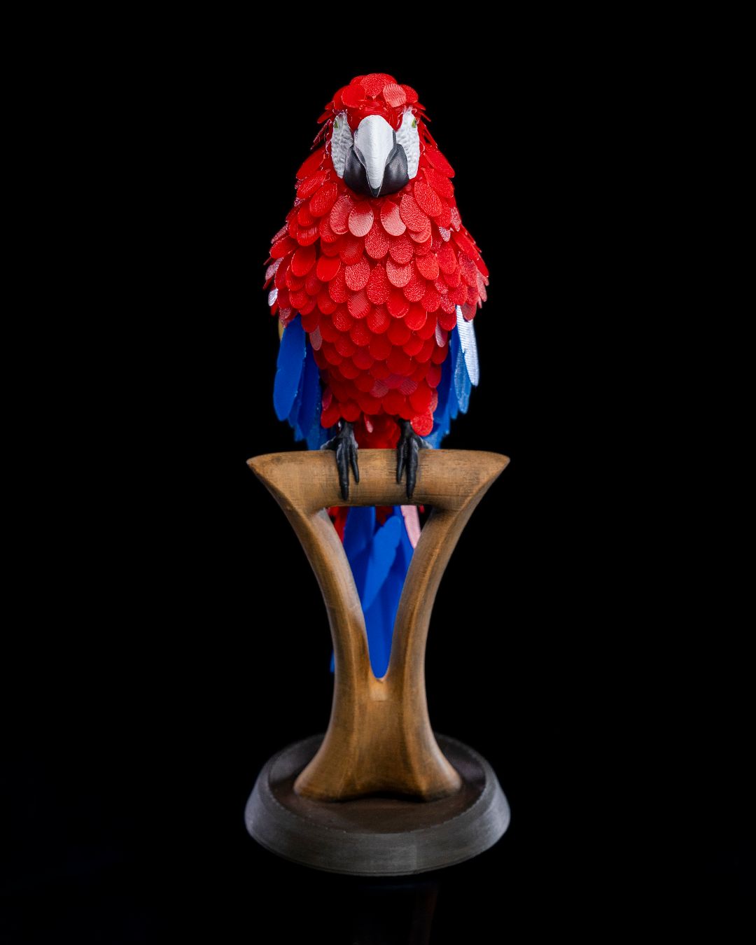 Macaw Feather Puzzle