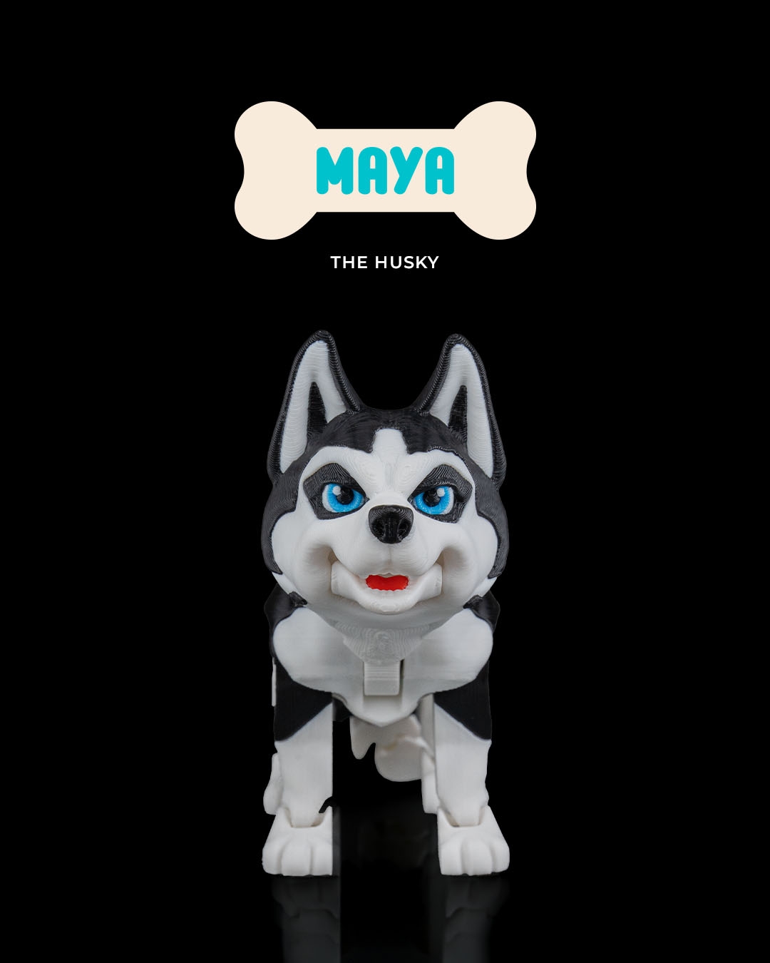 Maya, the Husky