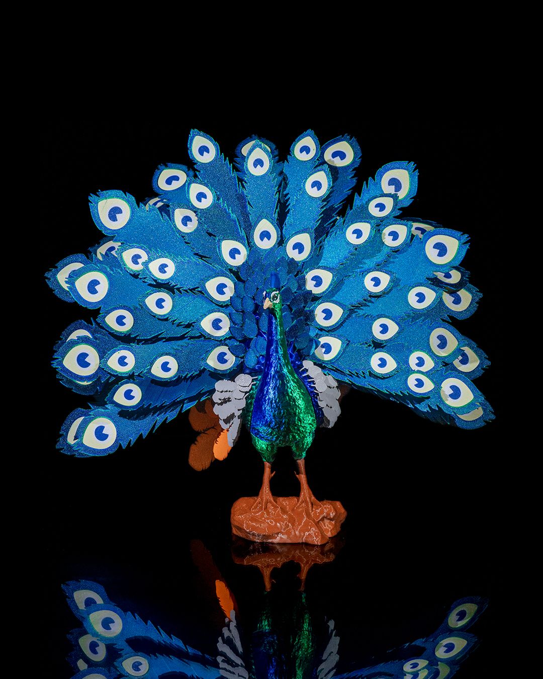 Mayura, the Peafowl