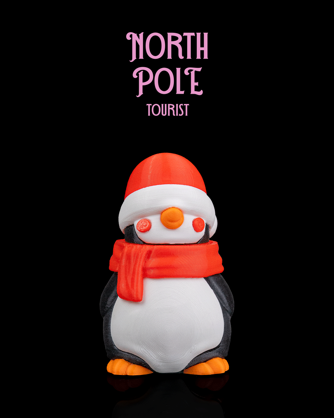 North Pole Tourist