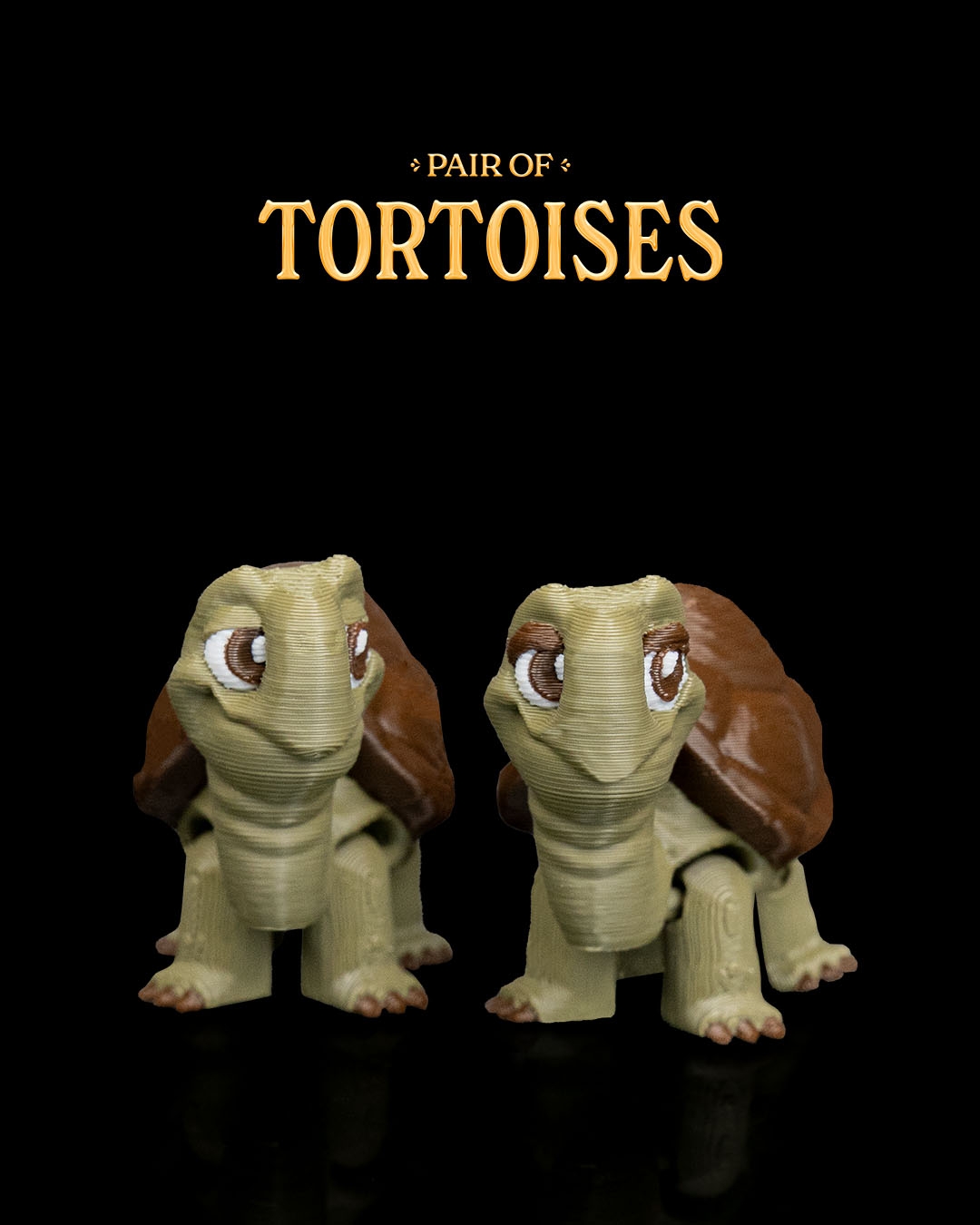 Pair of Tortoises