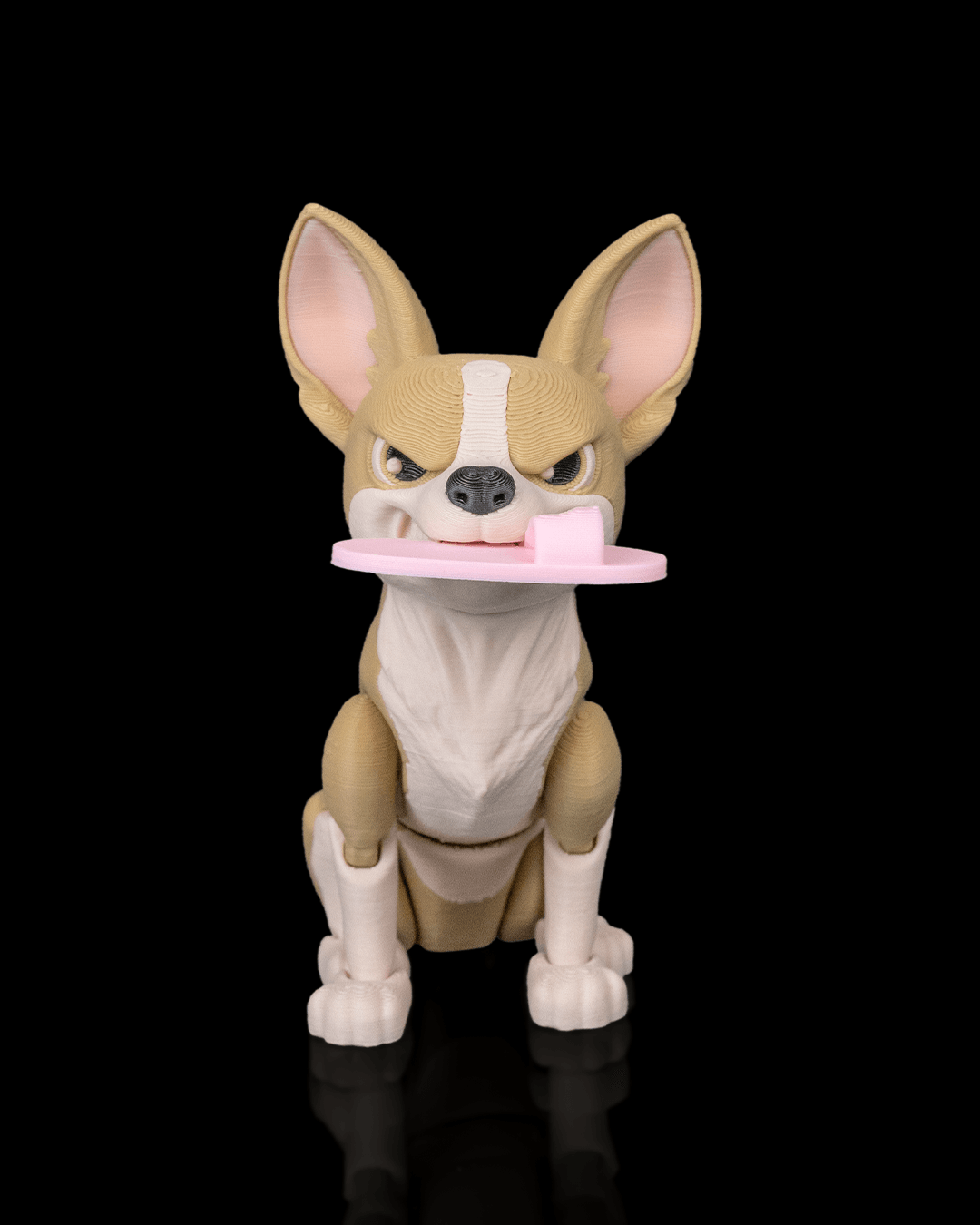 Pepper, the Chihuahua