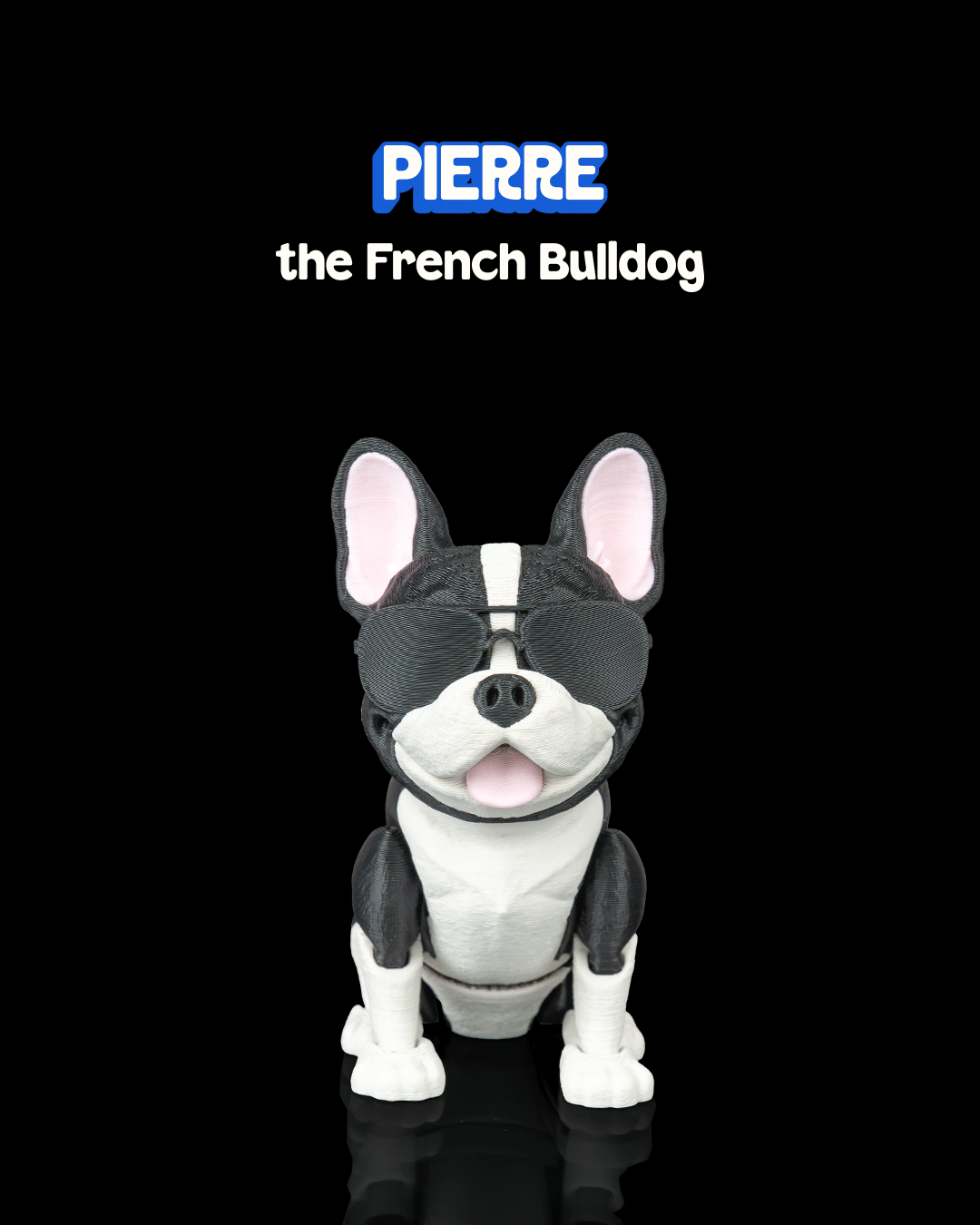 Pierre, the French Bulldog