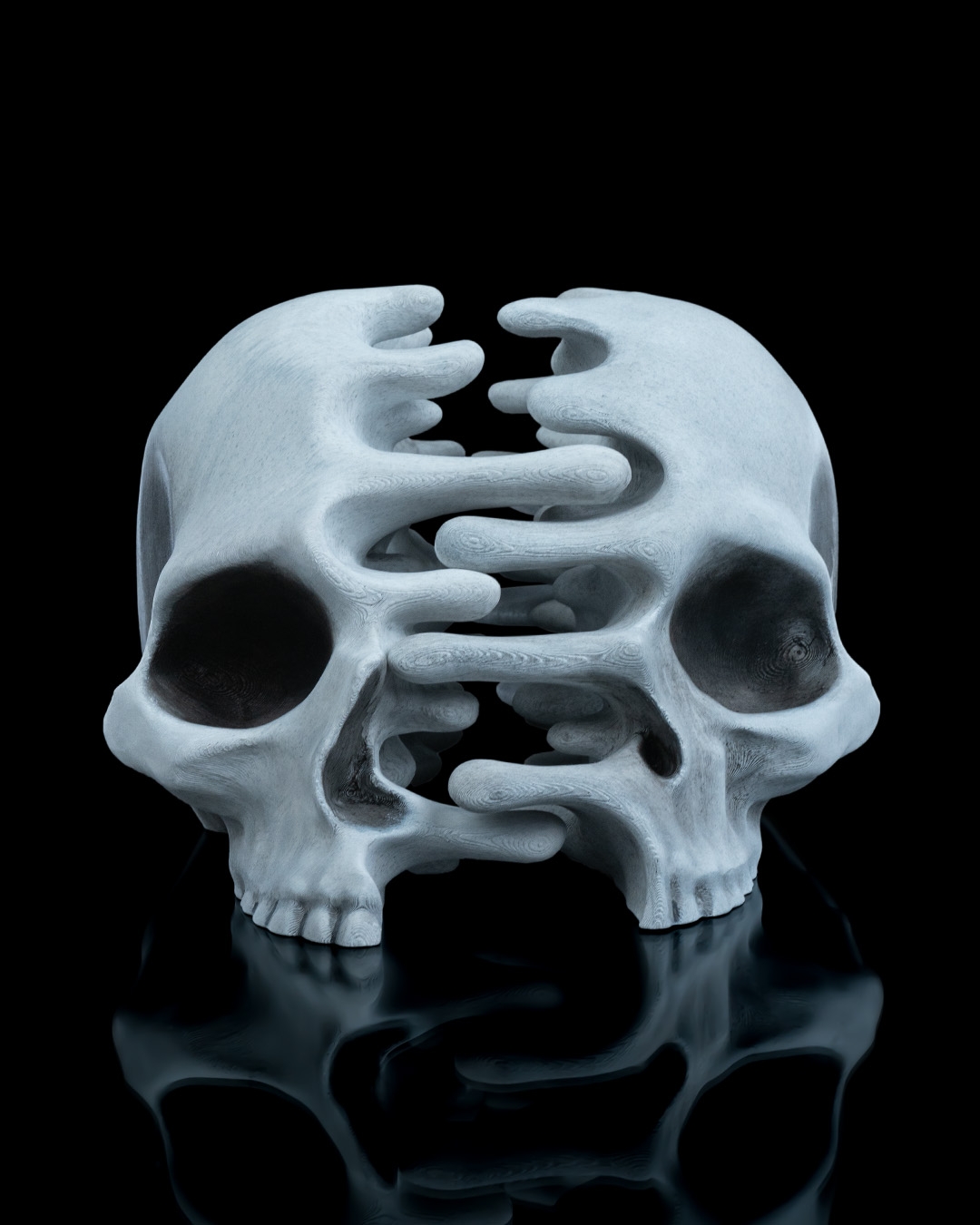 RIPped skull