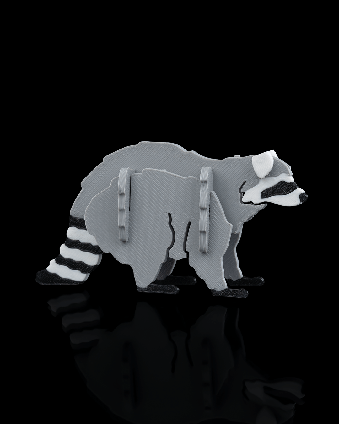 Raccoon Kit Cards