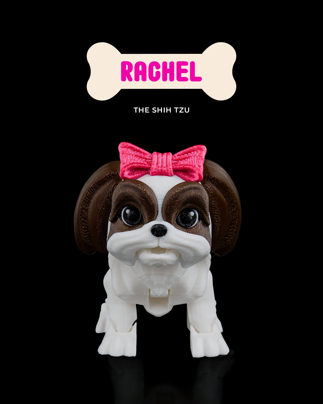 Rachel, the Shih Tzu