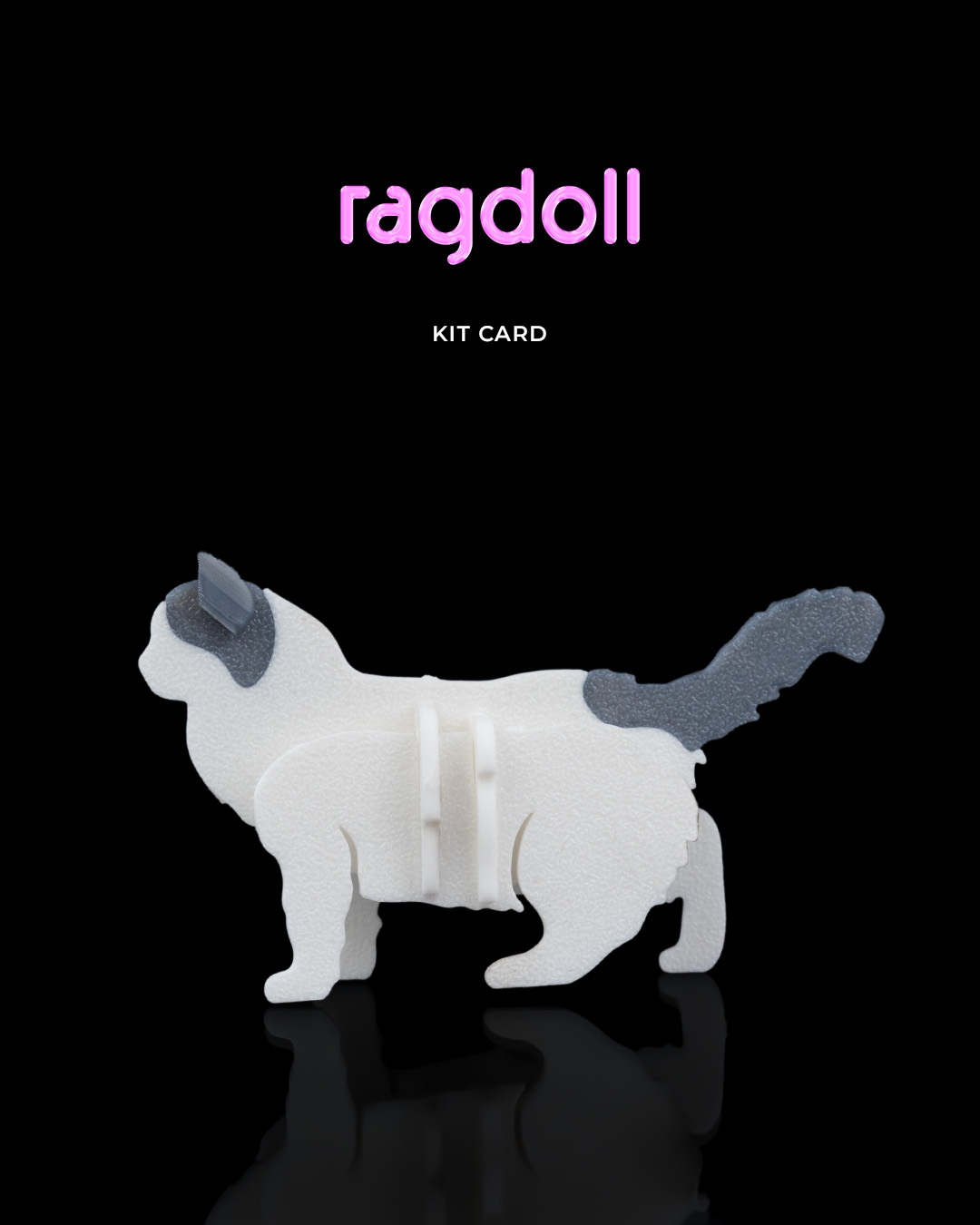 Ragdoll Kit Card