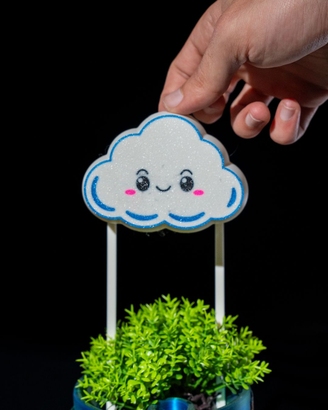 Rain Cloud Plant Waterer