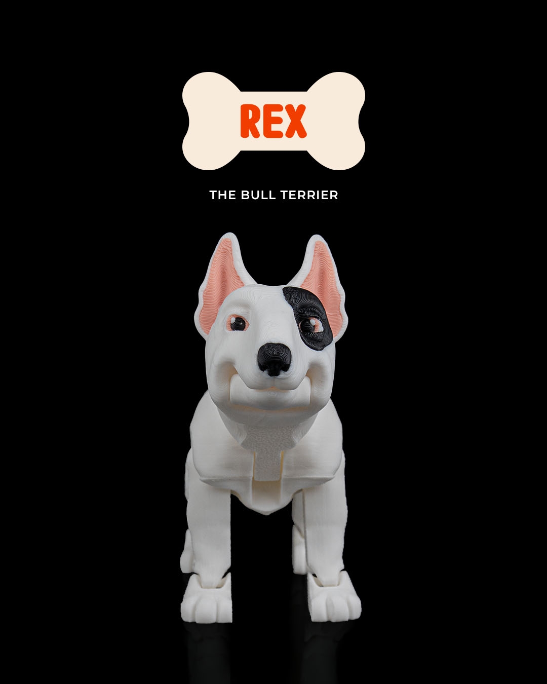 Rex, the Bull Terrier