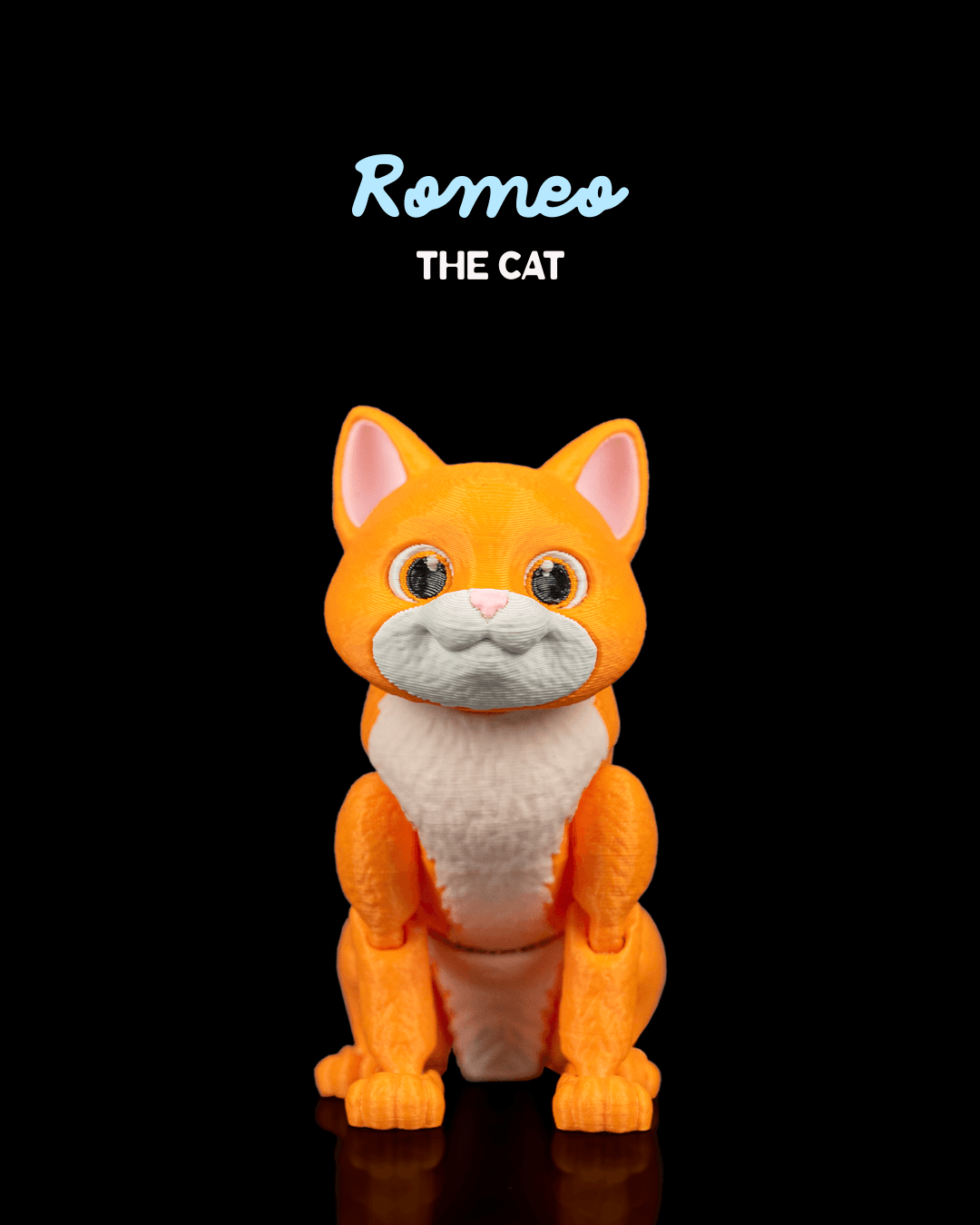 Romeo, the Cat.