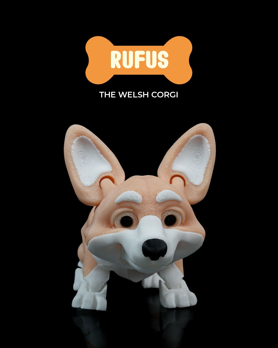 Rufus, the Welsh Corgi