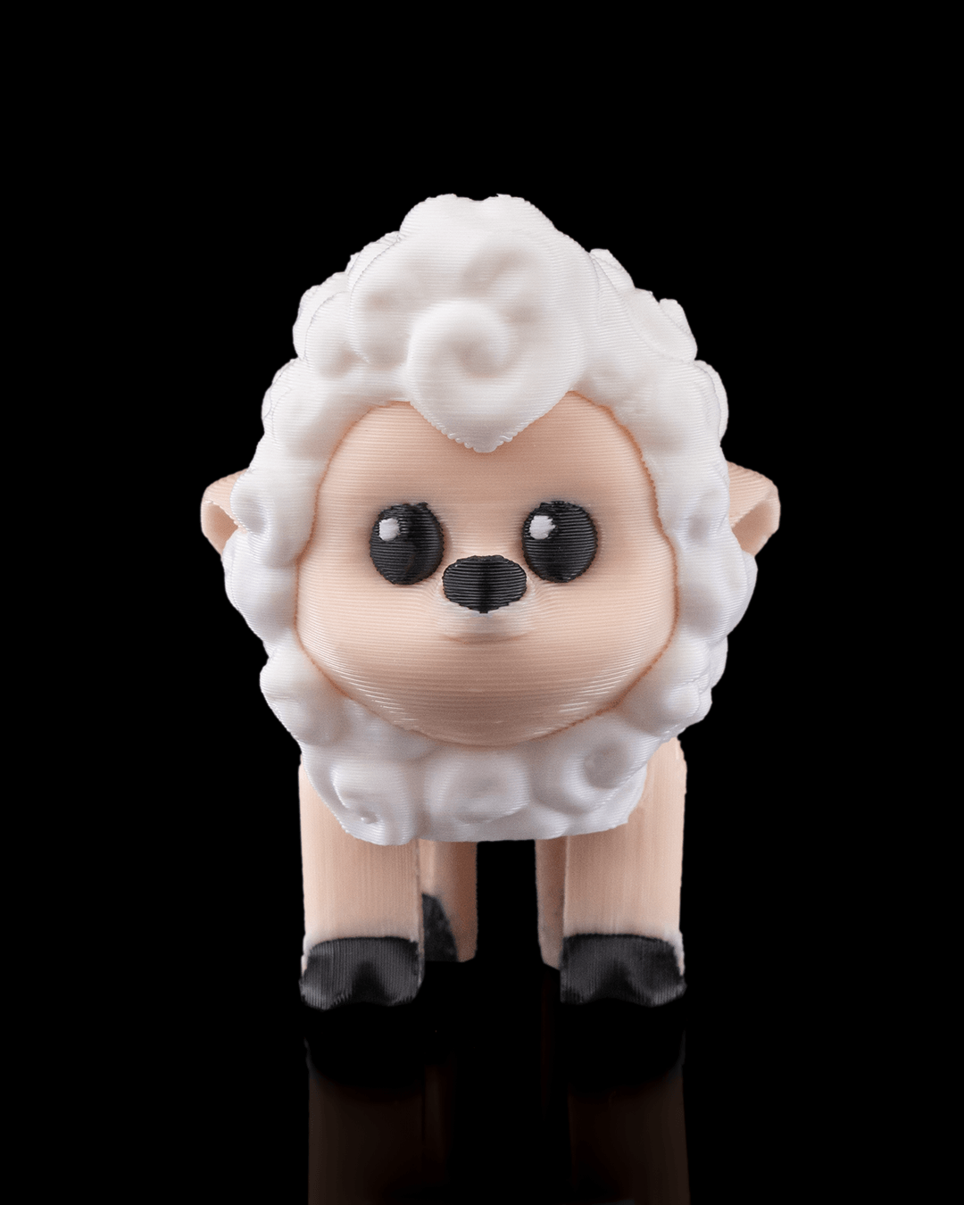Shane, The Sheep