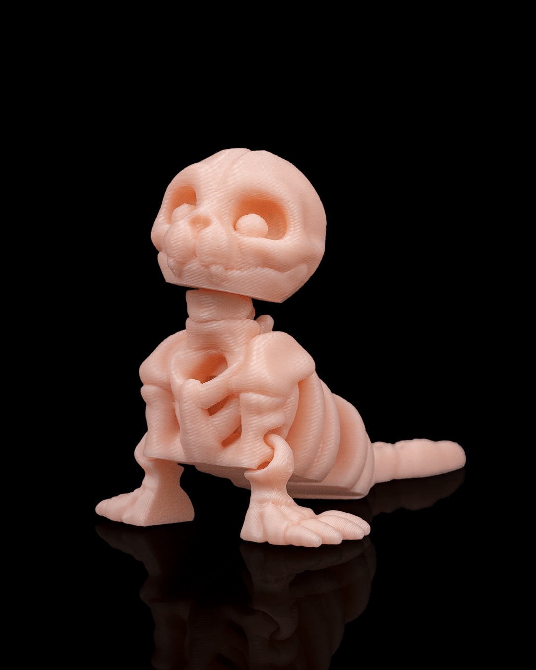 Skeleton Seal