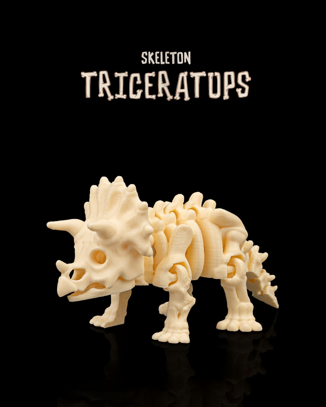 Skeleton Triceratops