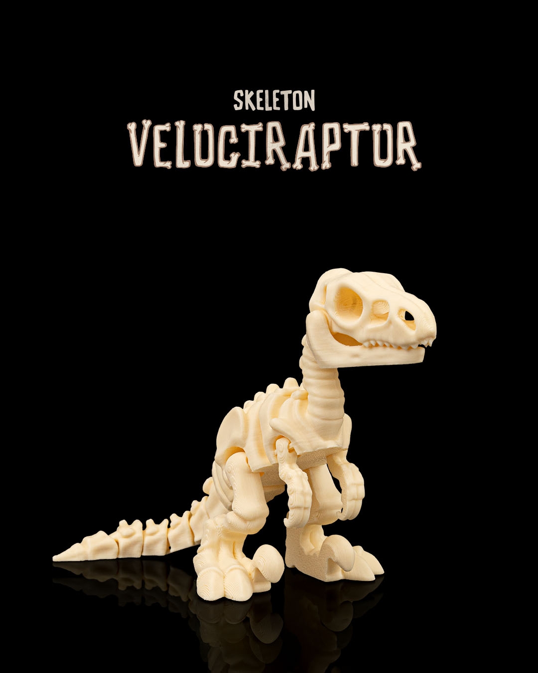 Skeleton Velociraptor