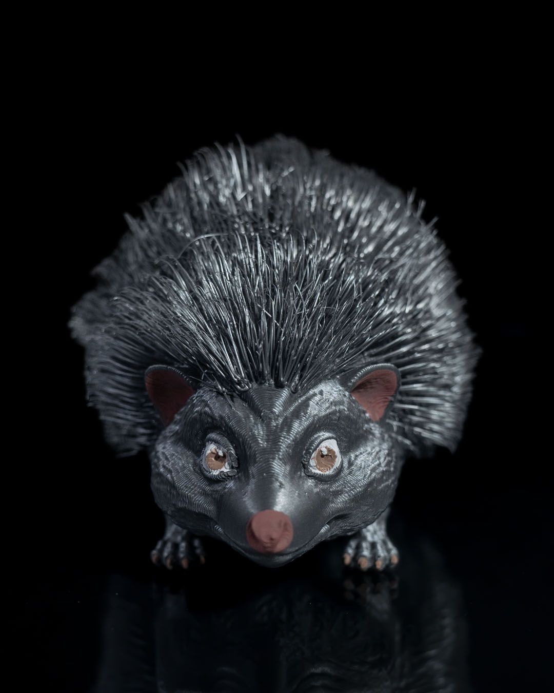 Spike, the Prickly Hedgehog