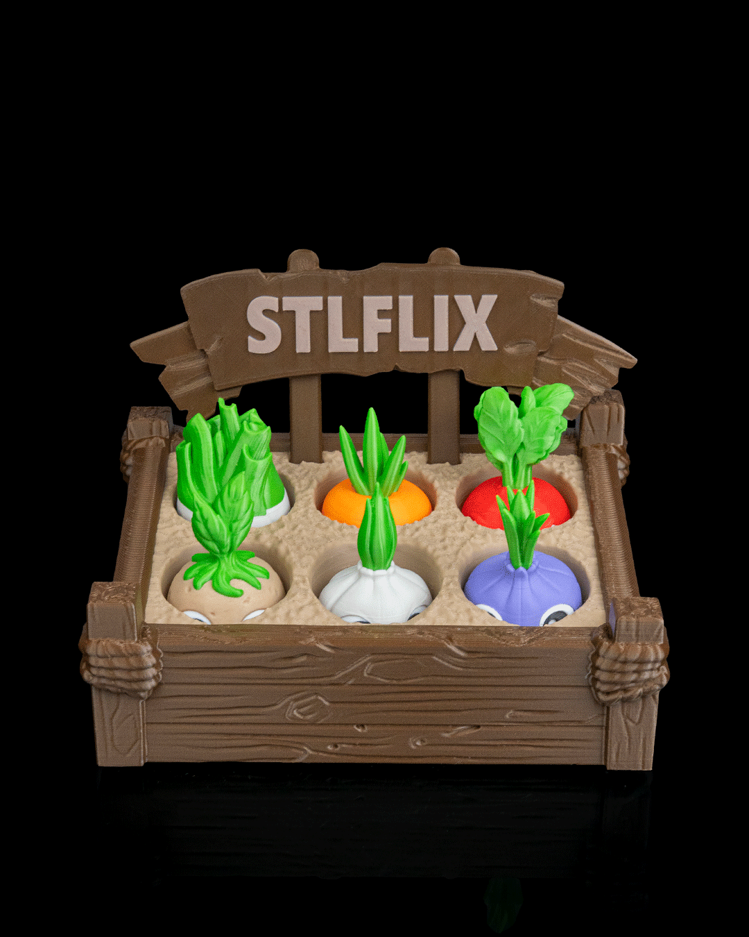 Sprout Garden Display