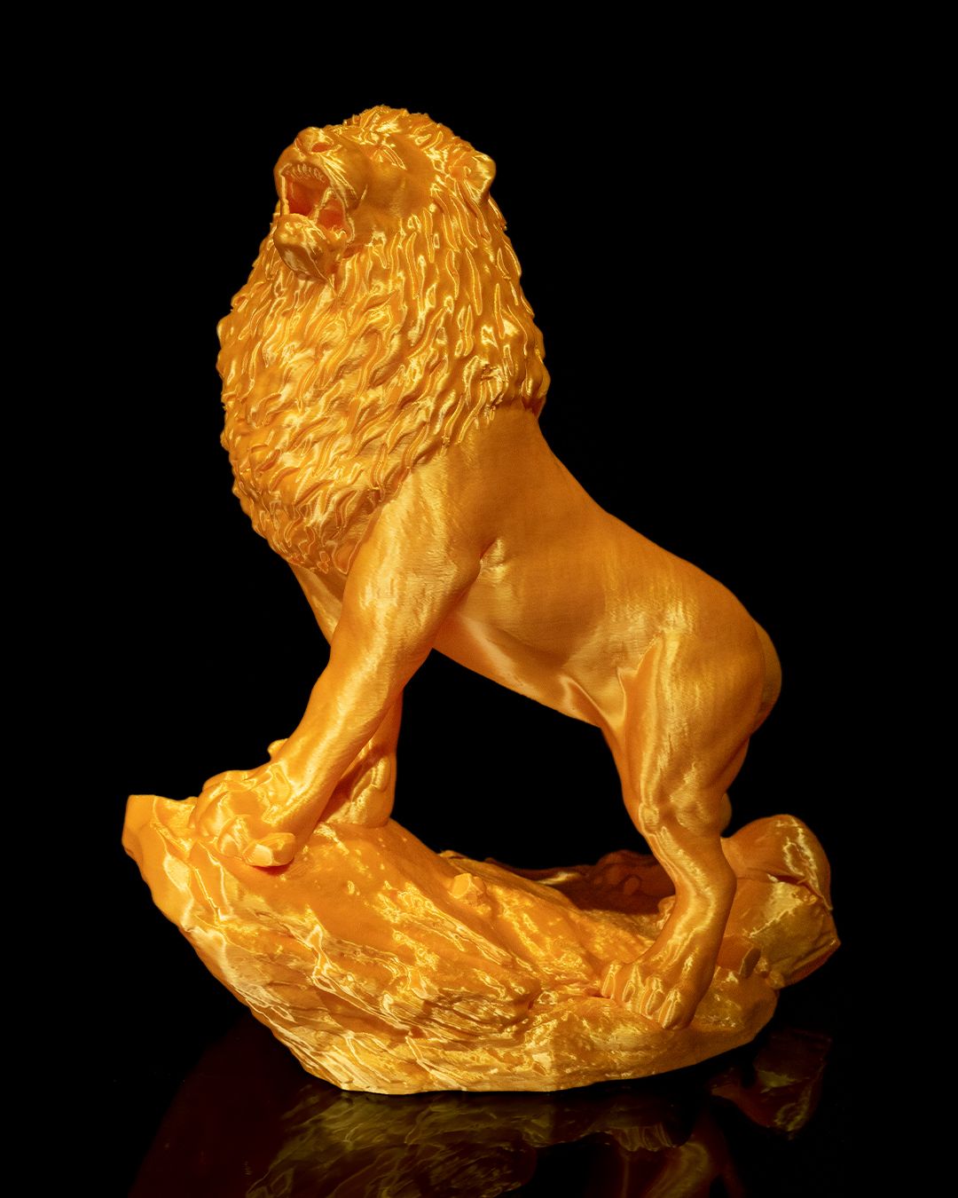 The Asiatic Lion