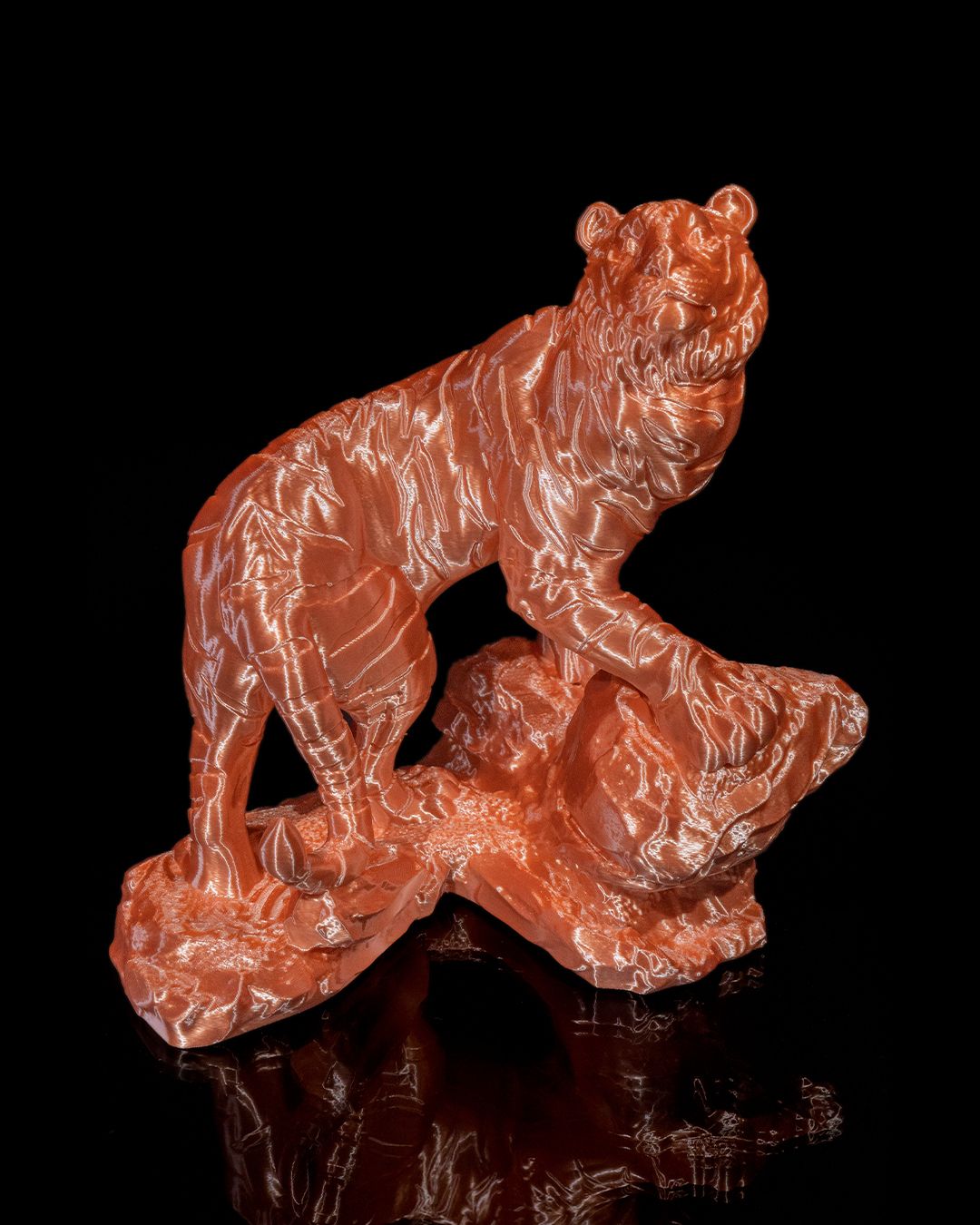 The Bengal Tiger