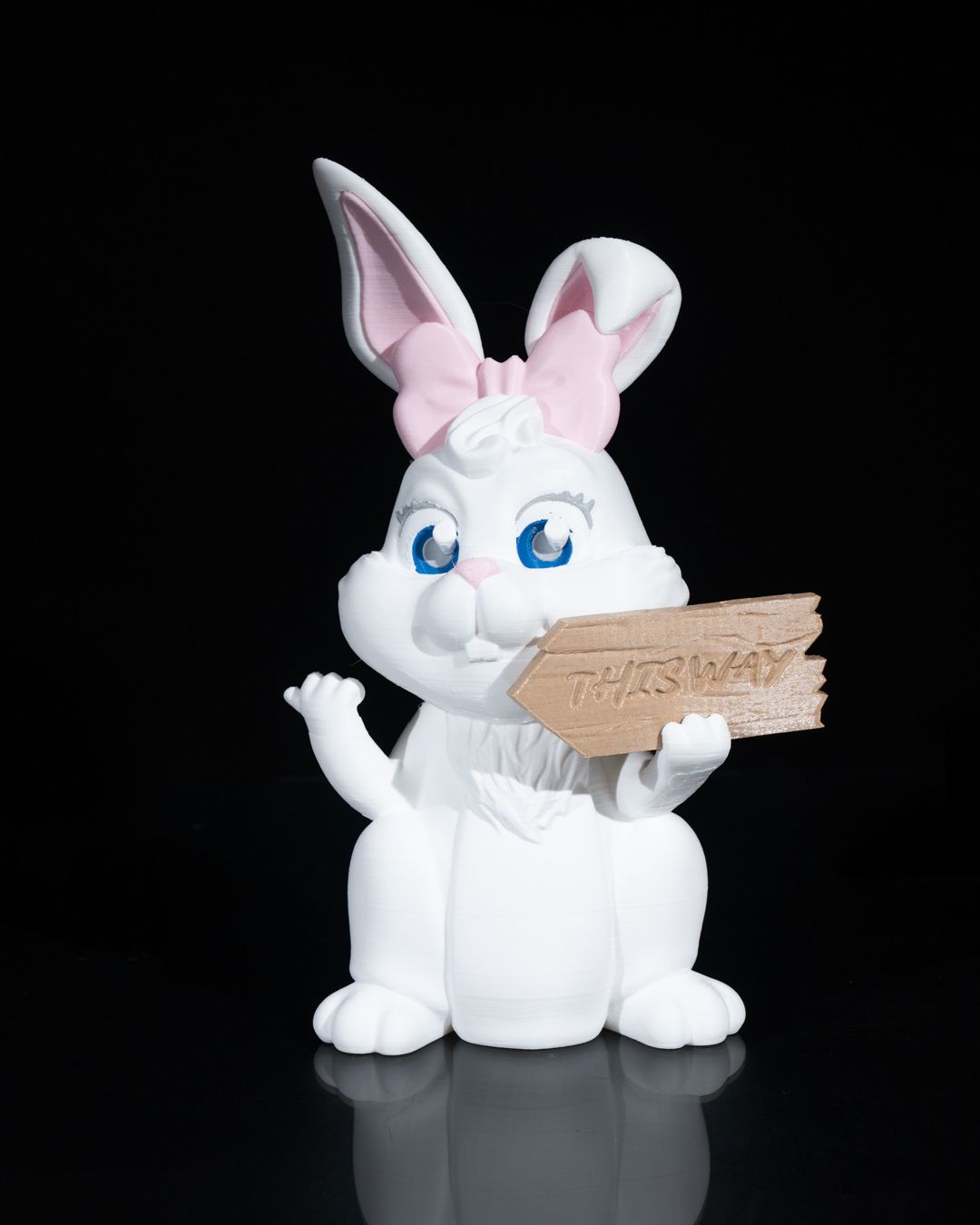 This Way Bunny Sign
