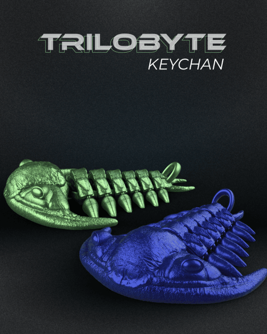 Articulated Trilobite Arthropod