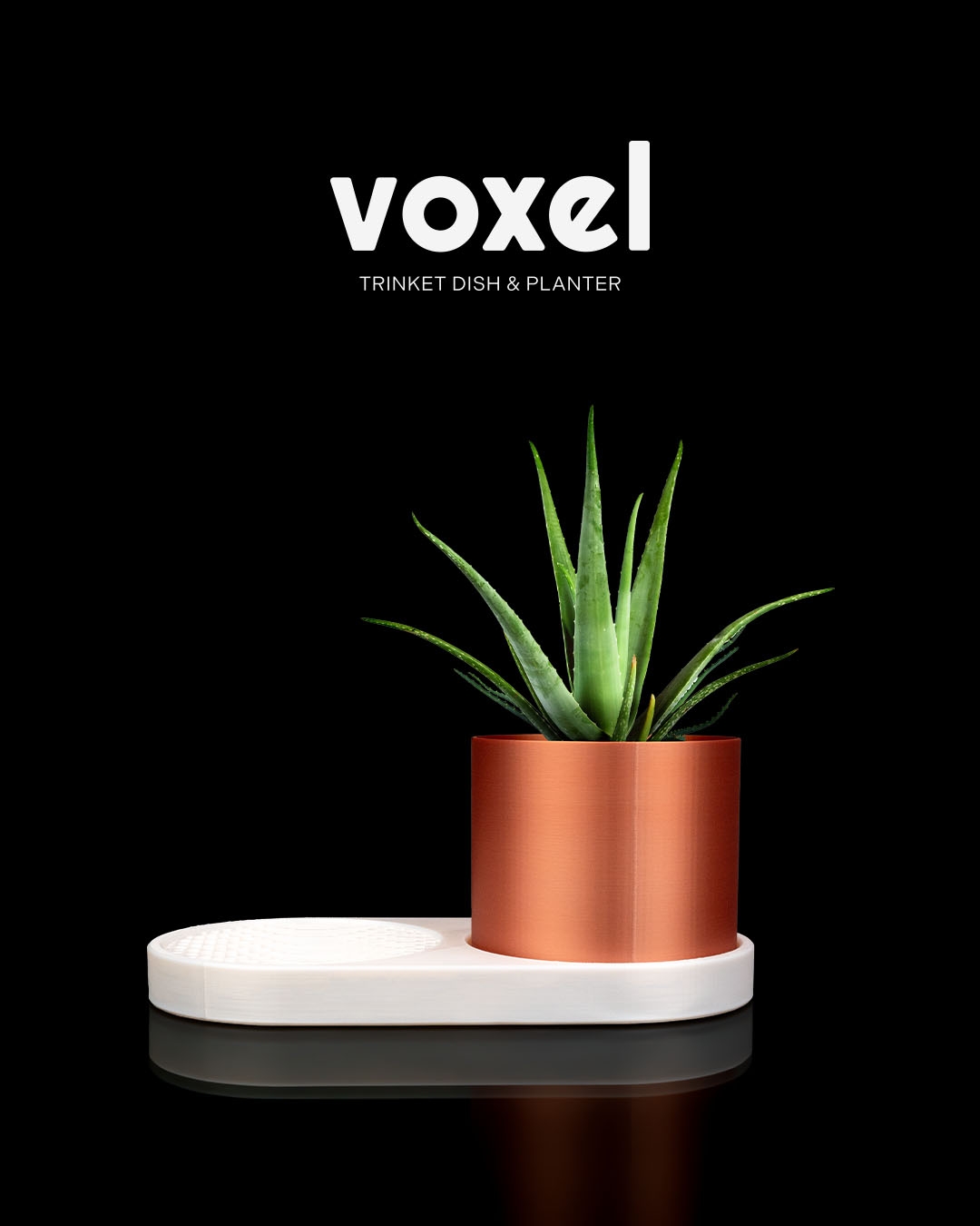 VOXEL Trinket Dish & Planter