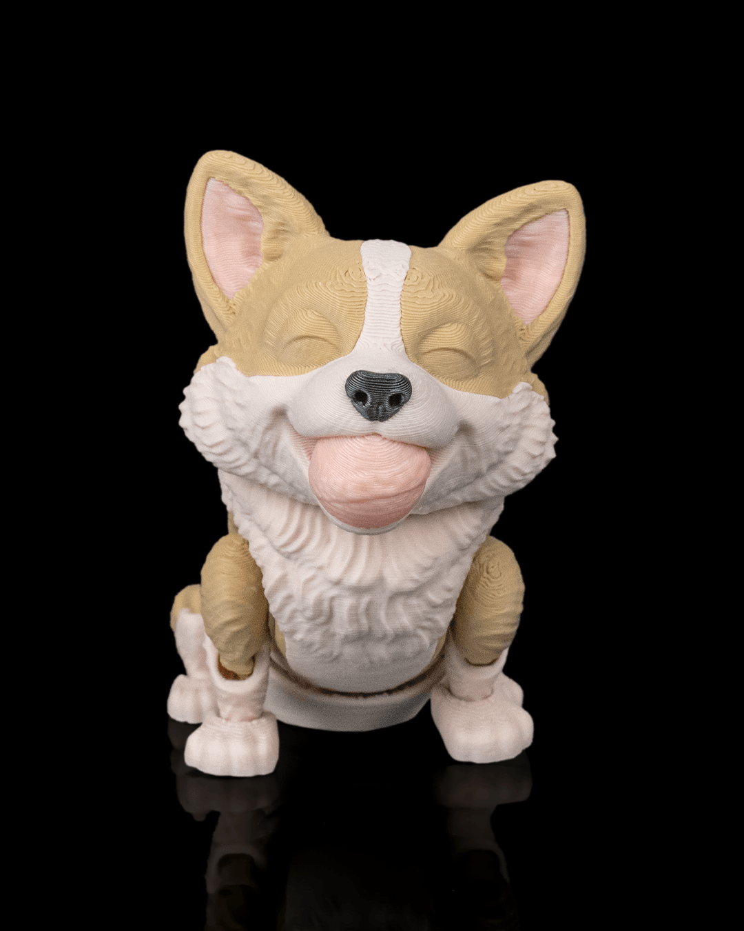 Willow, the Corgi