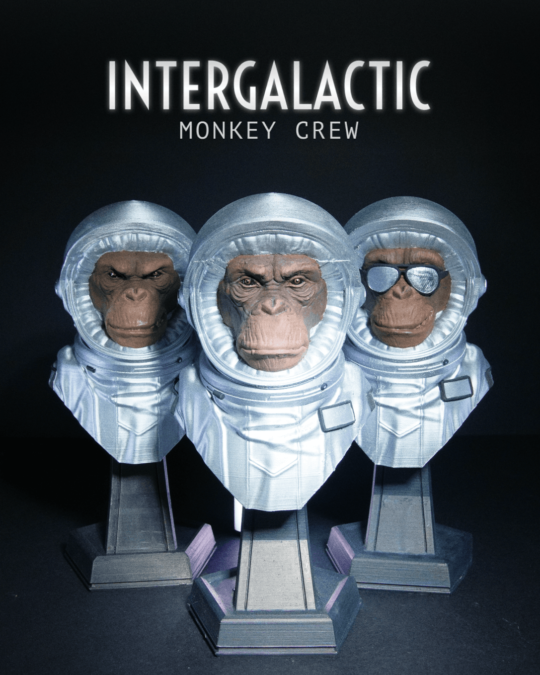 Intergalactic Monkey Crew