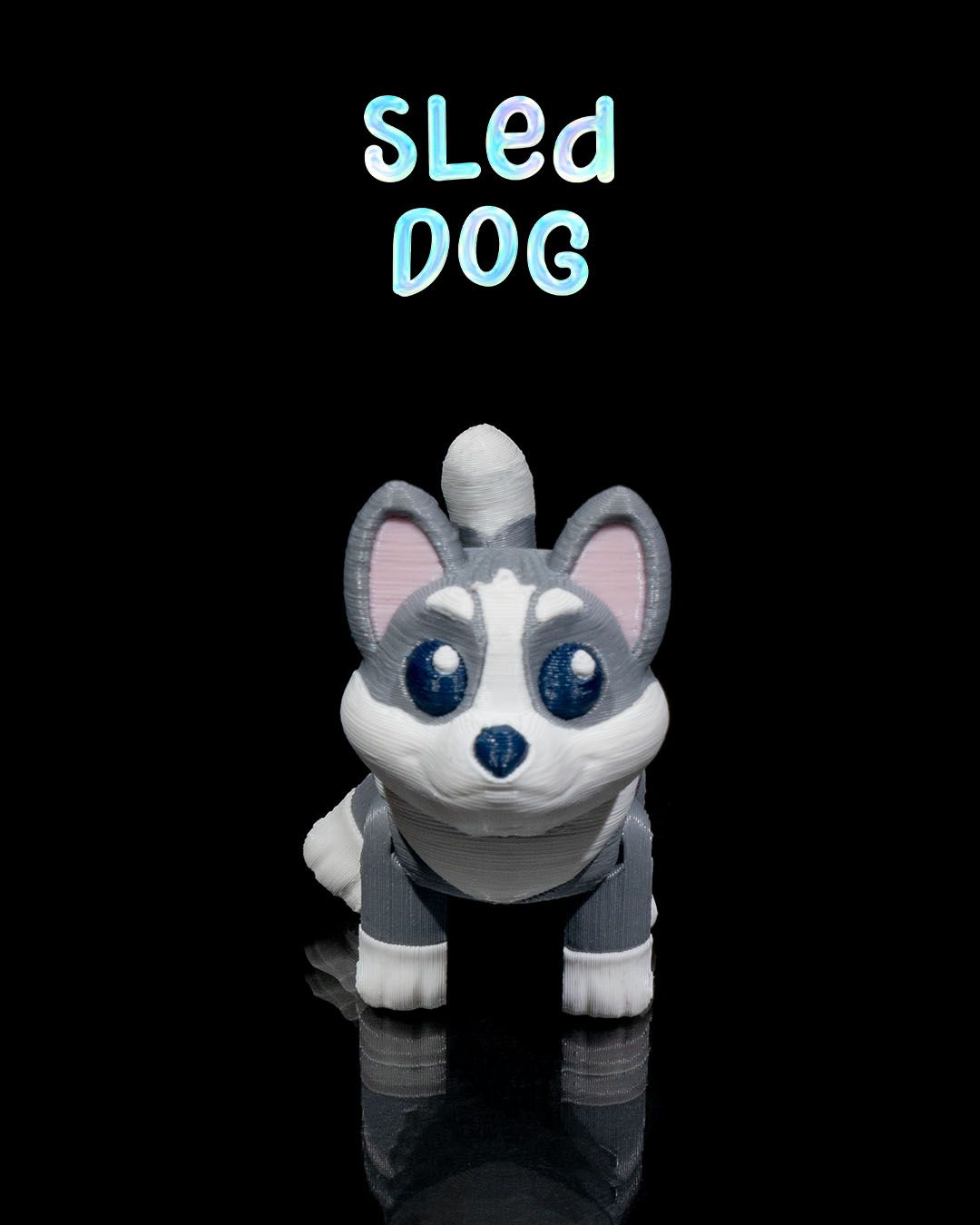 Sled Dog